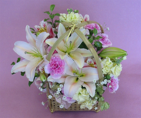 ����ԁ@���ԃA�����W/�����[�u�o�X�P�b�g